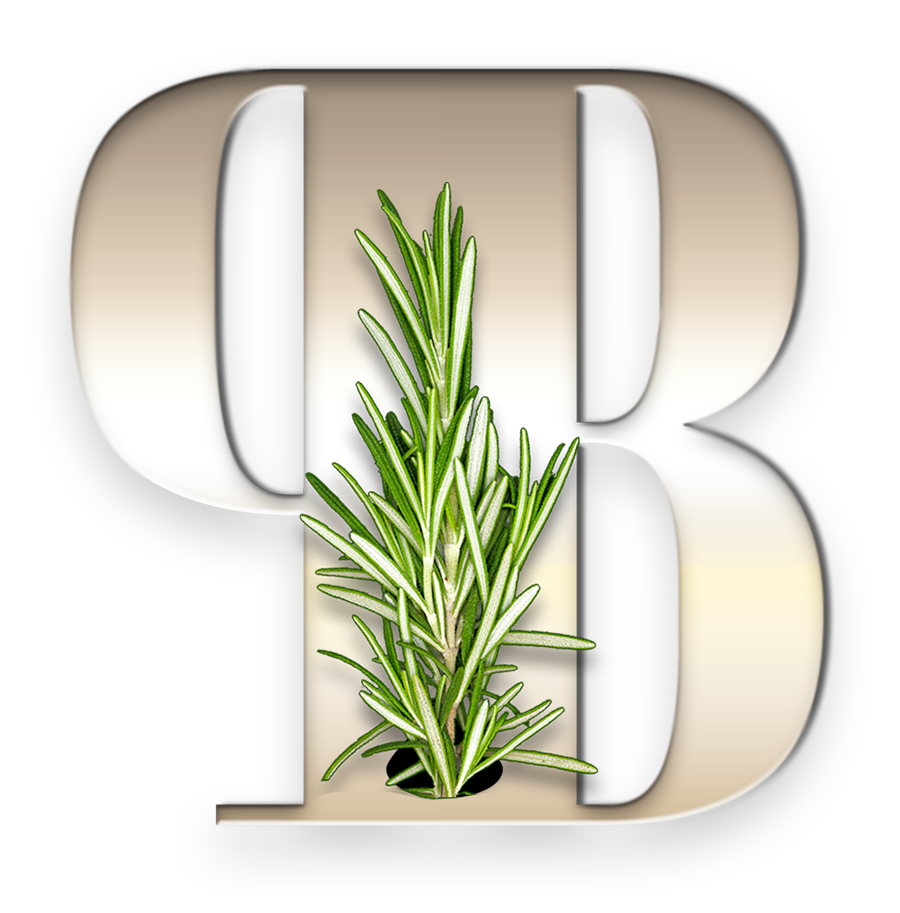 palm beach cuisine logo